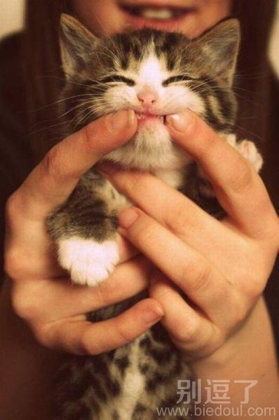 妞,给大爷笑一个 妞,给大爷笑一个