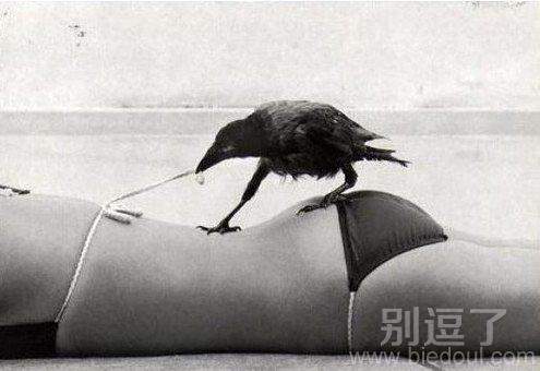 色鸟,一会你就完蛋啦 色鸟,一会你就完蛋啦