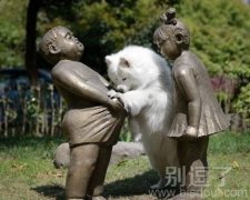 旺星人好奇心很重啊