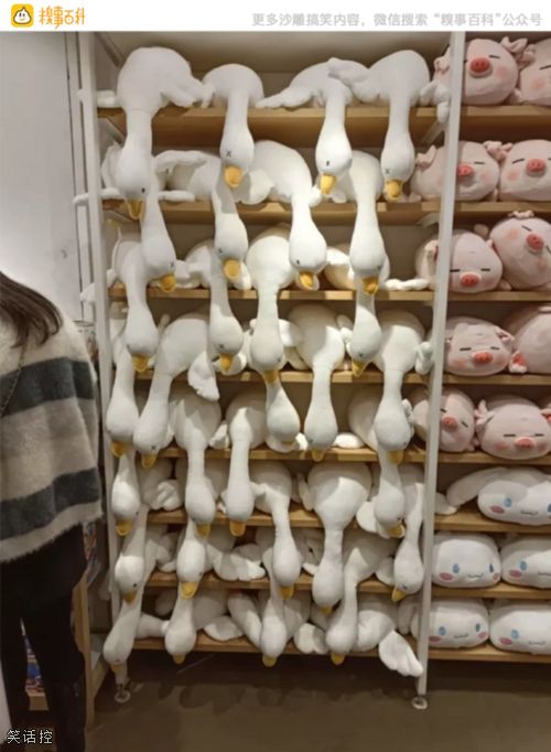 这大鹅的姿势倒是形象生动 这大鹅的姿势倒是形象生动