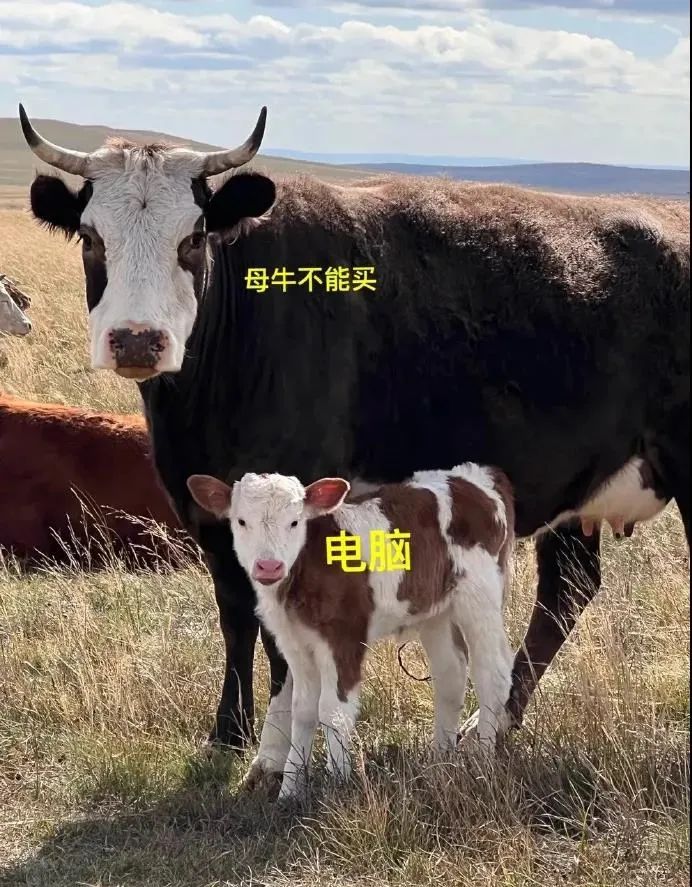 轻松一刻:我把家乡当根,家乡把我当祸根! 轻松一刻:我把家乡当根,家乡把我当祸根!