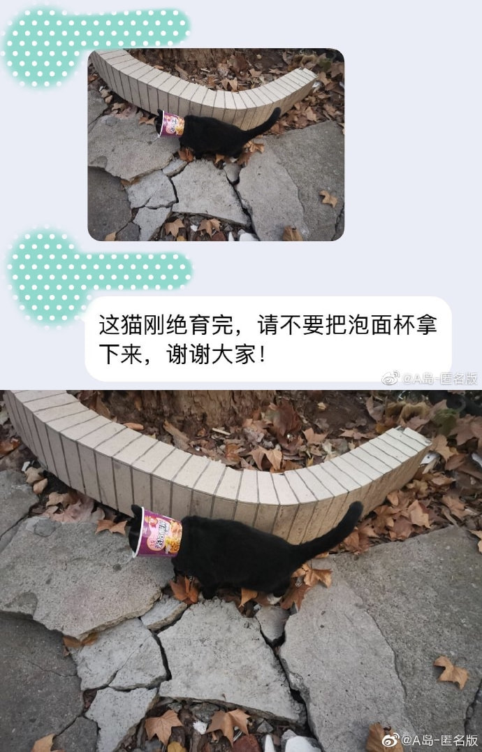 轻松一刻:我把家乡当根,家乡把我当祸根! 轻松一刻:我把家乡当根,家乡把我当祸根!