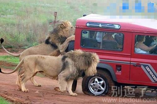 看你还敢不敢欺负我 看你还敢不敢欺负我