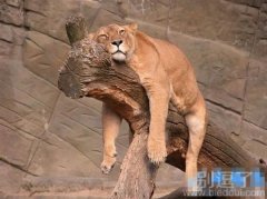 单身真可怕呀?! 单身真可怕呀?!