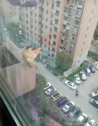 一生至少有一次疯狂的举动