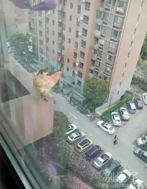 一生至少有一次疯狂的举动