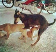 丫的给老子吐出来，老子要用