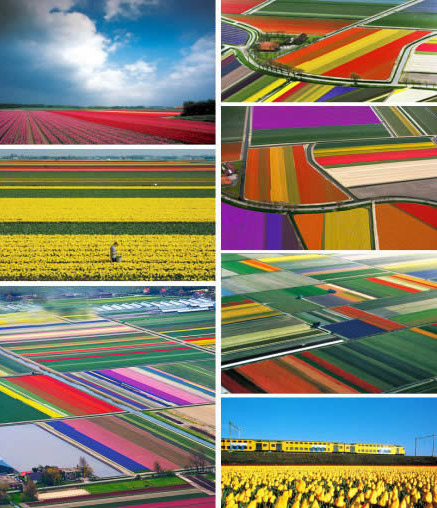 带你飞向童话般的世界