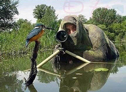 看看这些疯狂的摄影师们的图片,因为专业,所以专业。