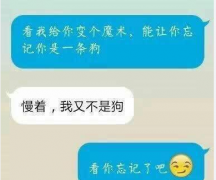 魔术 小狗狗 图片幽默