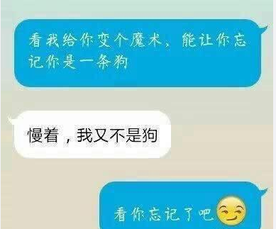 魔术 小狗狗 图片幽默