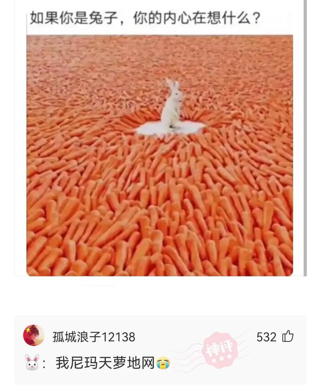 神回复:粉身碎骨浑不怕,要留清白在人间 神回复:粉身碎骨浑不怕,要留清白在人间
