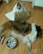 如果扔到大街上 比乞丐挣钱还多