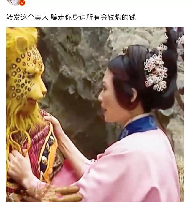 最近网上出了一只金钱豹，我找到了打败它的方法（搞笑合集）