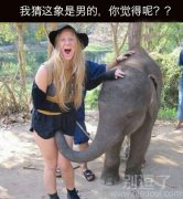 我猜也是。。。 我猜也是。。。