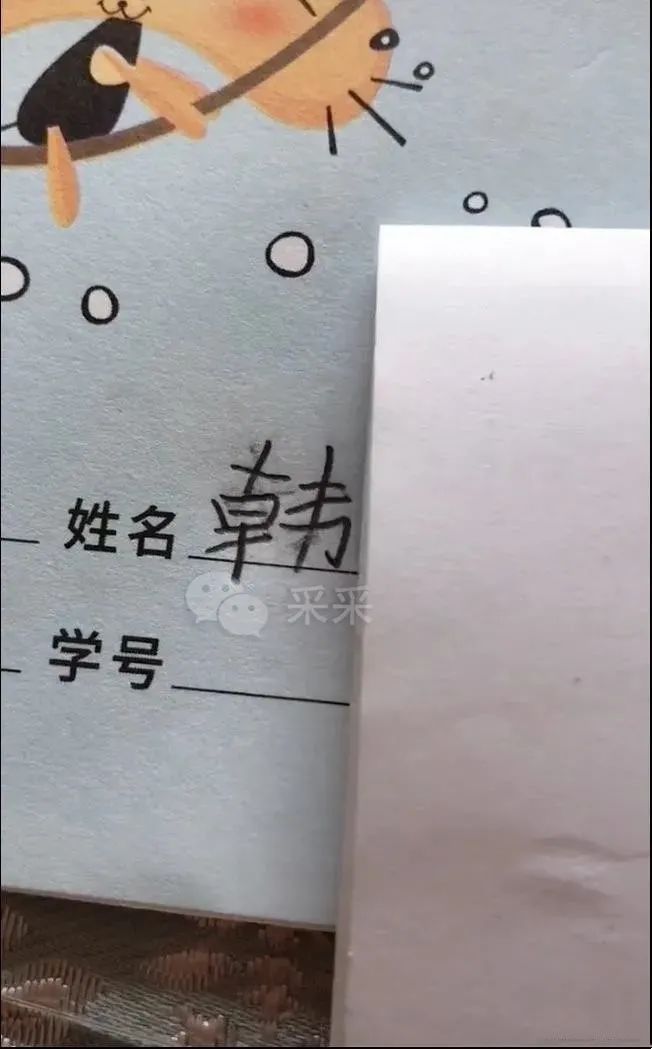 这就是搞笑女的童年吗？
