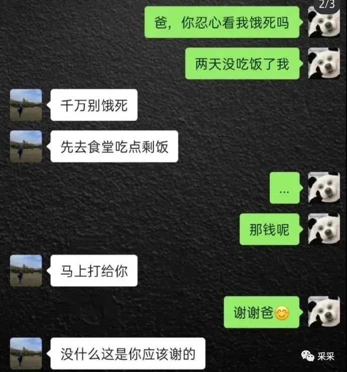 这就是搞笑女的童年吗？