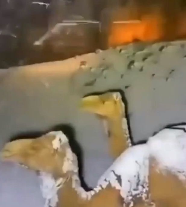轻松一刻:注意!取钱时一定要遮挡,否则会被人笑话 轻松一刻:注意!取钱时一定要遮挡,否则会被人笑话