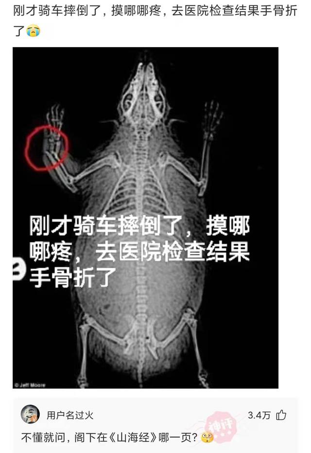 神回复:人能够承受多少的孤独 神回复:人能够承受多少的孤独