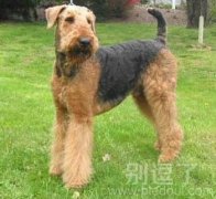 我也不知道自己是咋回事