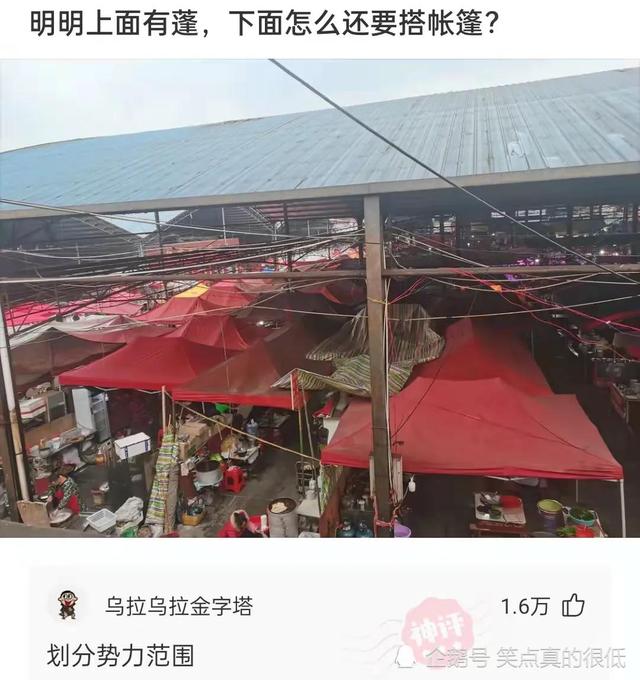 神回复:什么事情是你谈了矮个子女朋友才知道的? 神回复:什么事情是你谈了矮个子女朋友才知道的?