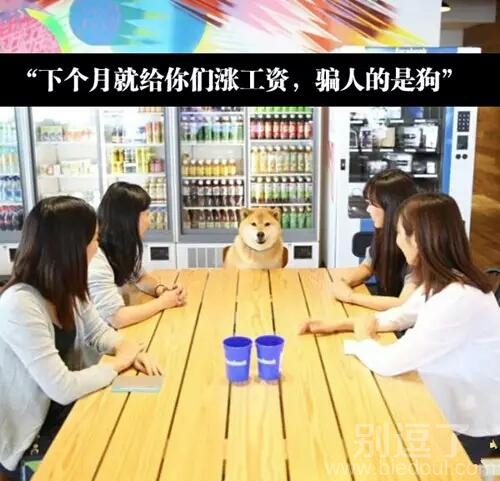 老板你是在骗人吗