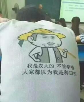 大家都以为我是种田的