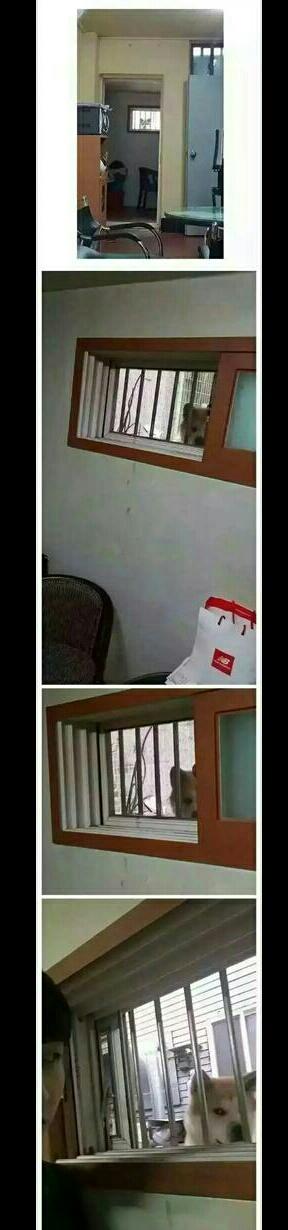 你是不偷人家屎了