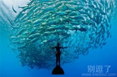 站在海里的美人。。