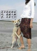 传说中的抱大腿? 传说中的抱大腿?