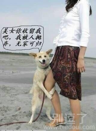 传说中的抱大腿？