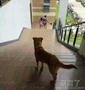 单身狗的生存现状