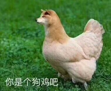 轻松一刻:成年人都无法接受的事,更别说小孩了 轻松一刻:成年人都无法接受的事,更别说小孩了