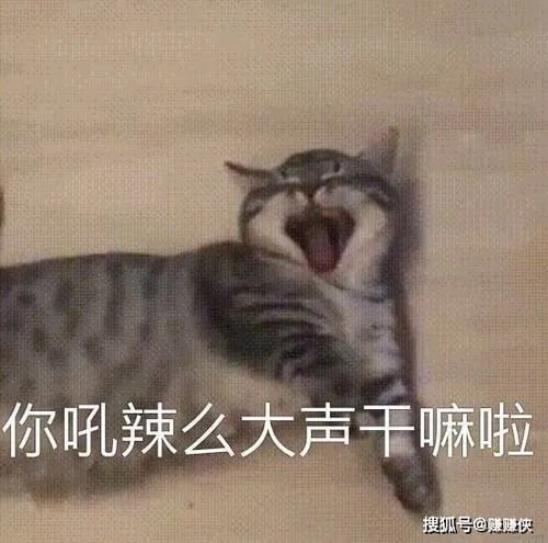 轻松一刻:成年人都无法接受的事,更别说小孩了 轻松一刻:成年人都无法接受的事,更别说小孩了