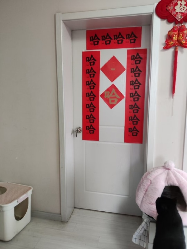 轻松一刻:成年人都无法接受的事,更别说小孩了 轻松一刻:成年人都无法接受的事,更别说小孩了