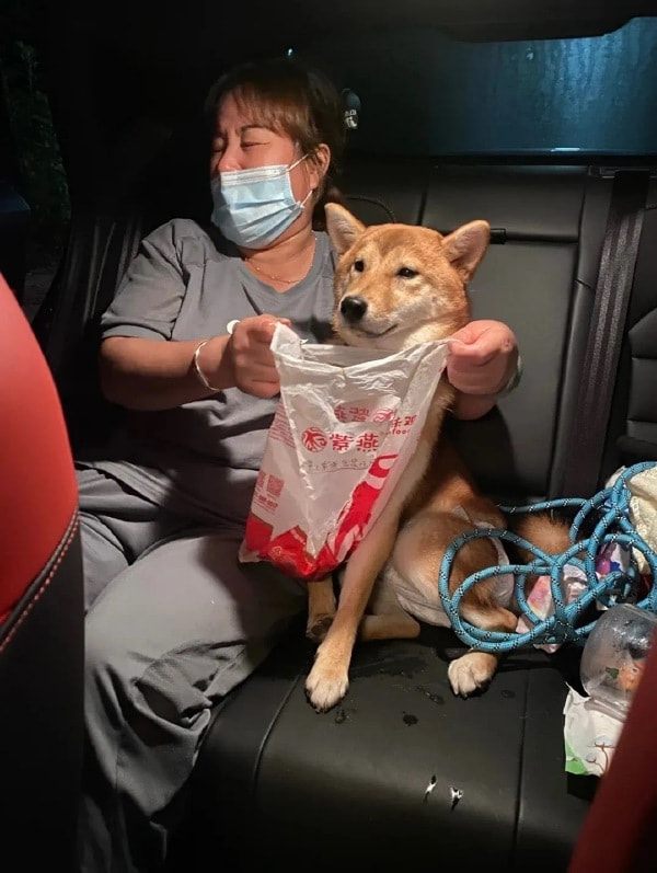 轻松一刻:成年人都无法接受的事,更别说小孩了 轻松一刻:成年人都无法接受的事,更别说小孩了