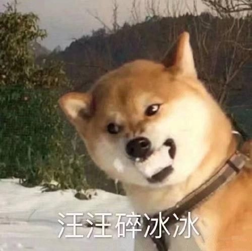 轻松一刻:成年人都无法接受的事,更别说小孩了 轻松一刻:成年人都无法接受的事,更别说小孩了