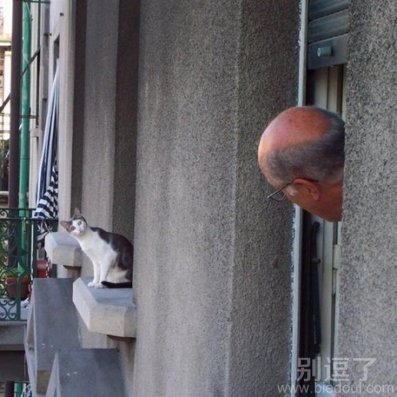 有什么好看的??喵 有什么好看的??喵