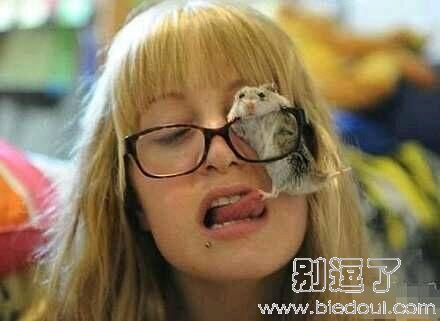 小动物来我嘴里来吧