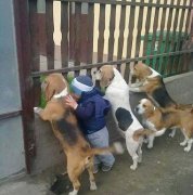 到底是什么让你们看得这么认真？