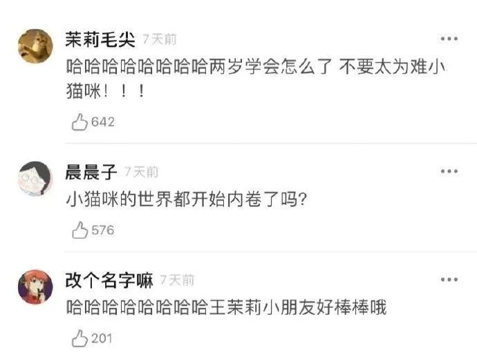 “千万!不要!穿同底色衣服拍证件照!” 哈哈哈哈哈真的是见鬼了! “千万!不要!穿同底色衣服拍证件照!” 哈哈哈哈哈真的是见鬼了!