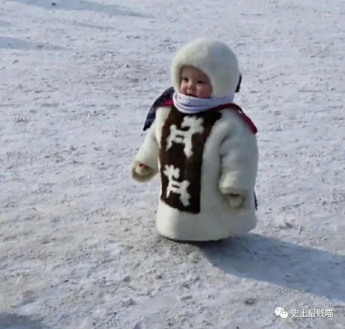 “千万!不要!穿同底色衣服拍证件照!” 哈哈哈哈哈真的是见鬼了! “千万!不要!穿同底色衣服拍证件照!” 哈哈哈哈哈真的是见鬼了!