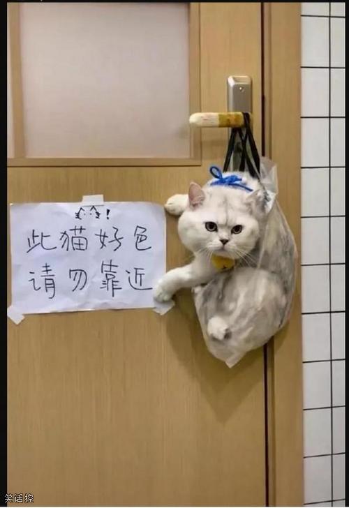 色色达咩