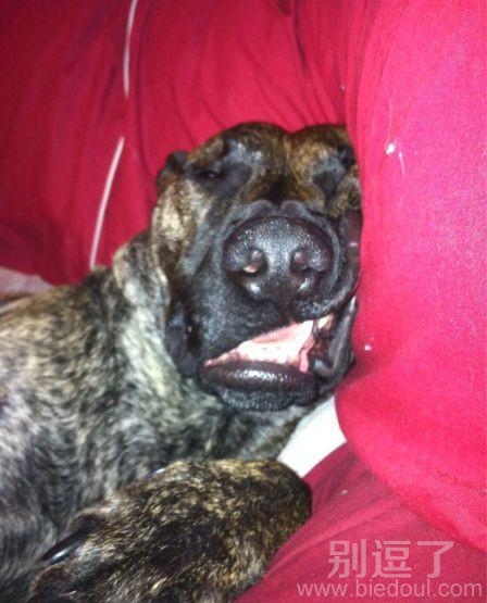 睡觉也要注意形象呀 睡觉也要注意形象呀