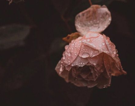 霸气网名四个字很大气的微信昵称 四字霸气的微信昵称大全 霸气网名四个字很大气的微信昵称 四字霸气的微信昵称大全