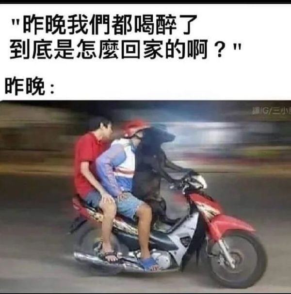 轻松一刻:这种尺寸你睡得着吗,反正我睡不着 轻松一刻:这种尺寸你睡得着吗,反正我睡不着