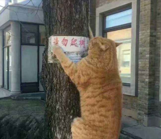 轻松一刻:这种尺寸你睡得着吗,反正我睡不着 轻松一刻:这种尺寸你睡得着吗,反正我睡不着