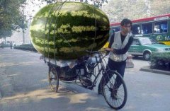 一个西瓜千斤重 一个西瓜千斤重