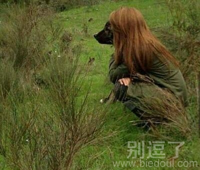 一个人,一只狗。 一个人,一只狗。