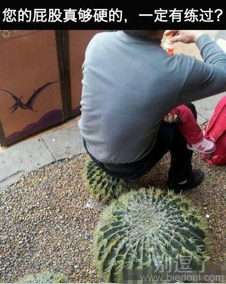 怎样克服仙人掌的刺 怎样克服仙人掌的刺